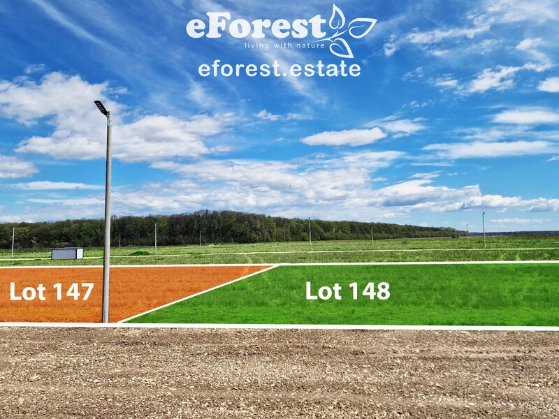 Dambovita, teren intravilan de casa la padure, 17 km de Bucuresti