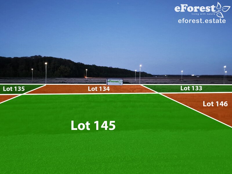 Dambovita, teren intravilan de casa la padure, 17 km de Bucuresti