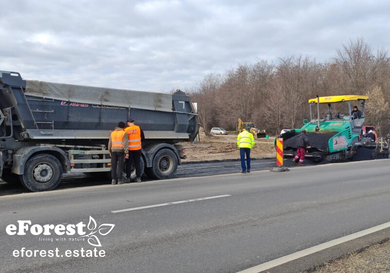 Dambovita, teren intravilan de casa la padure, 17 km de Bucuresti