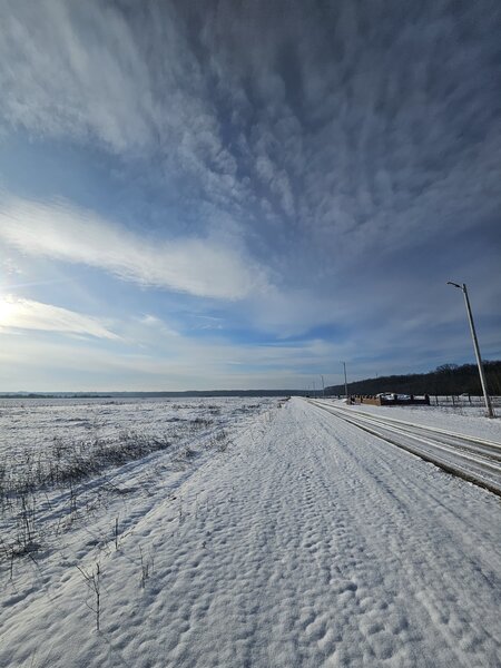 Dambovita, teren intravilan de casa la padure, 17 km de Bucuresti